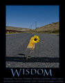 Wisdom