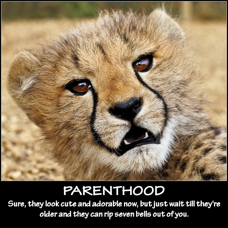 Parenthood