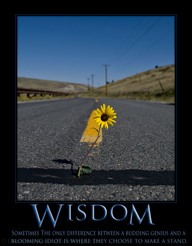 Wisdom