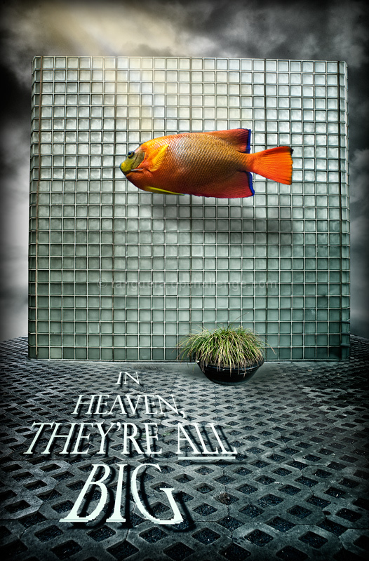 The One that Got Away