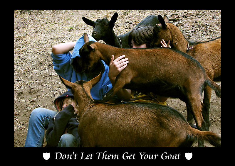 Don't Let Them Get Your Goat