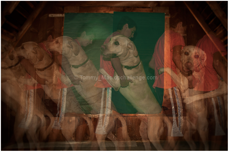 Attic Ghost Dance