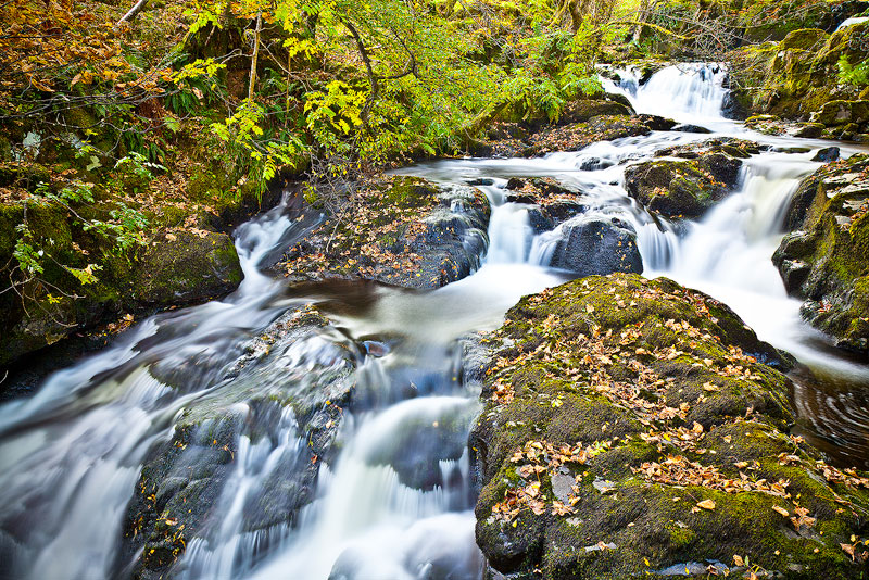 Aira Force