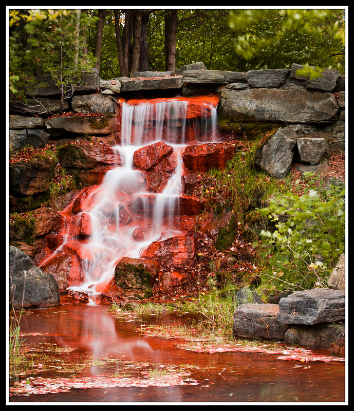 The Heart of the River