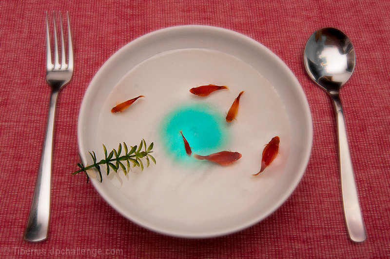 Zen Fish Soup 