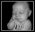Kinsley's Debut