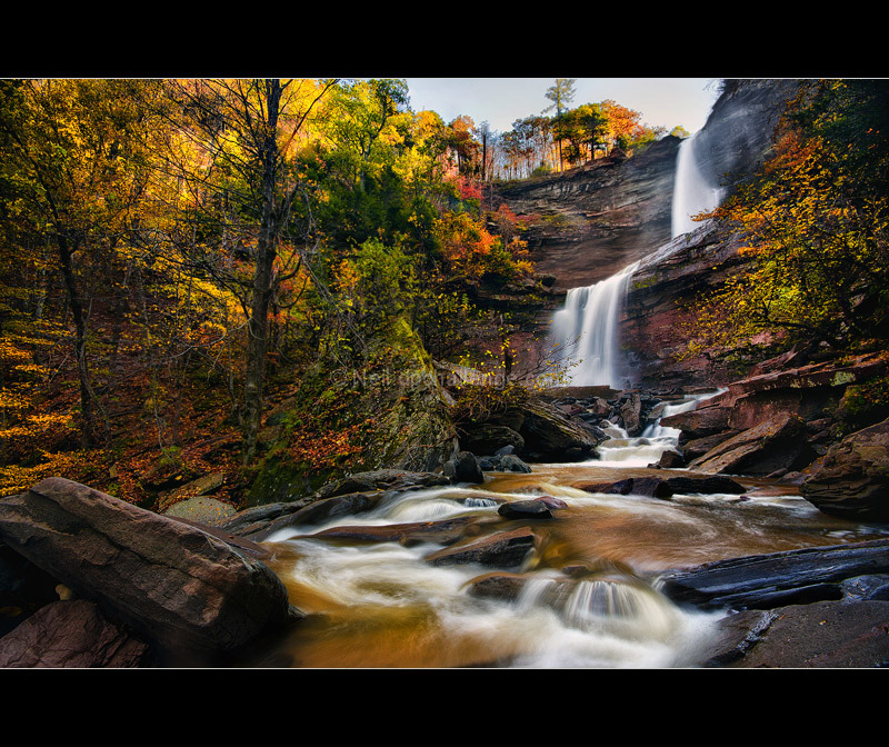 Autumn Wonder