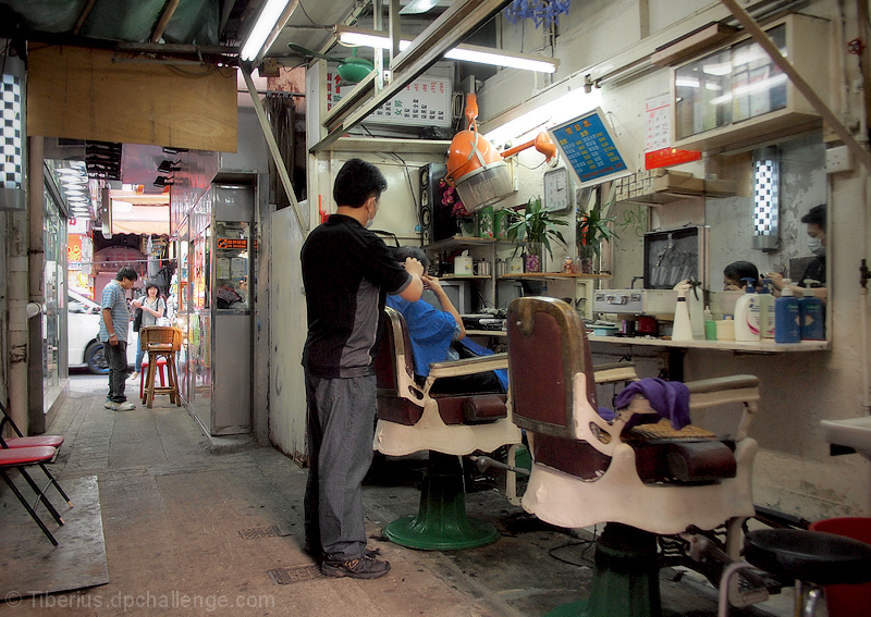 The Cut 