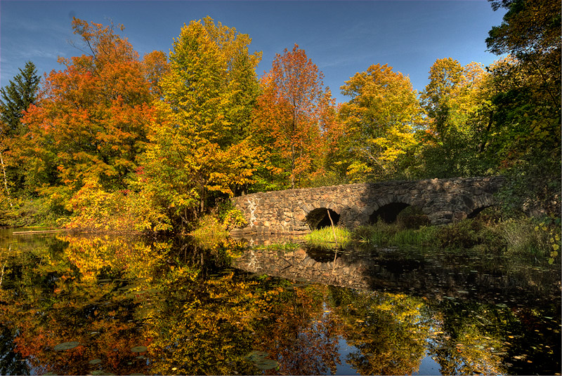 Le Petit Pont