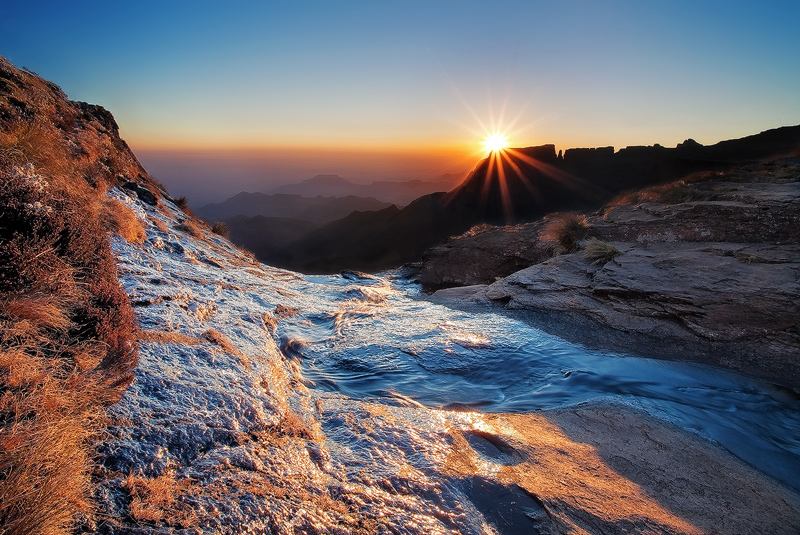 Frozen Morning