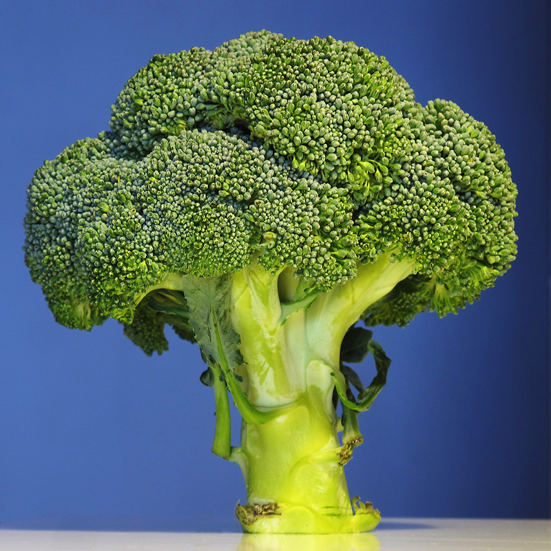 Broccoli tree