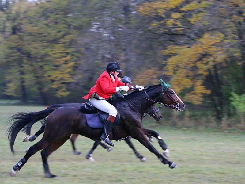 The Race