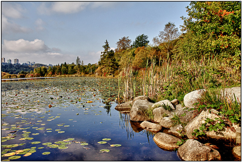 Color changes on the lake