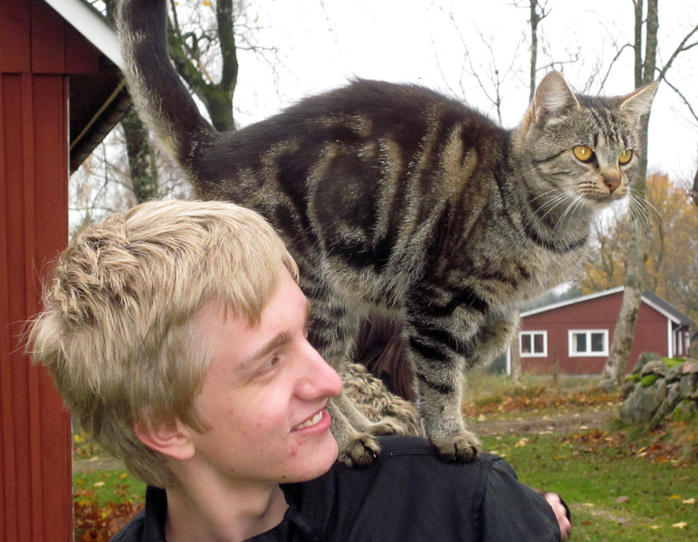 Cat Charmer