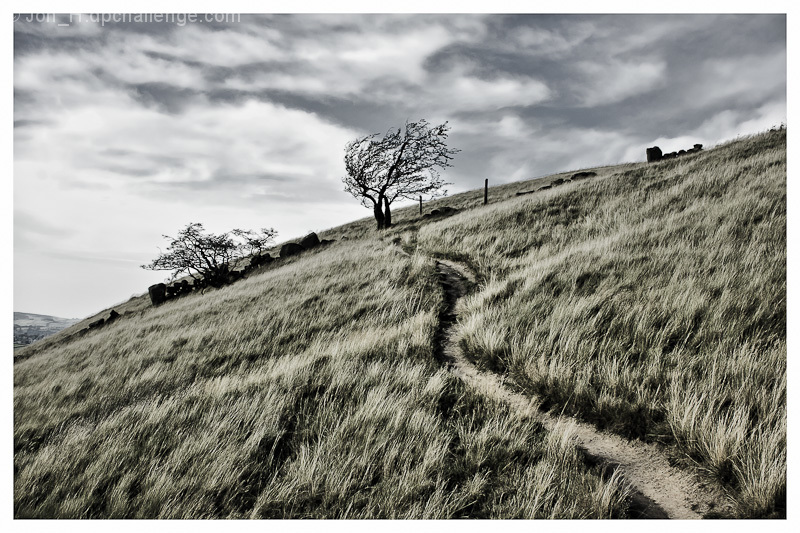 Windswept