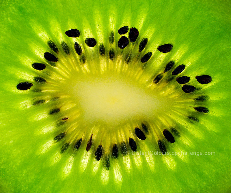 Kiwi