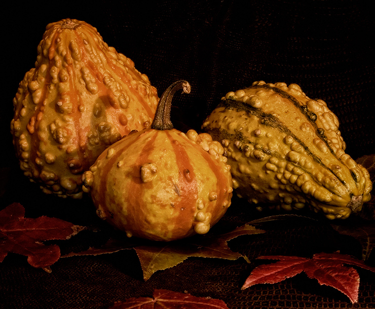 Leaves & Gourds