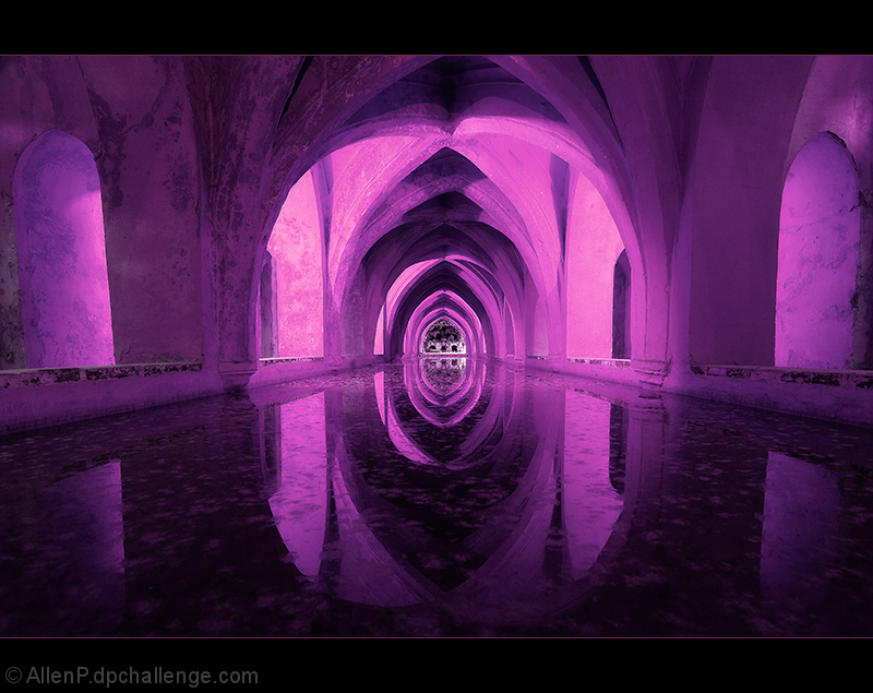 Pink Reflections