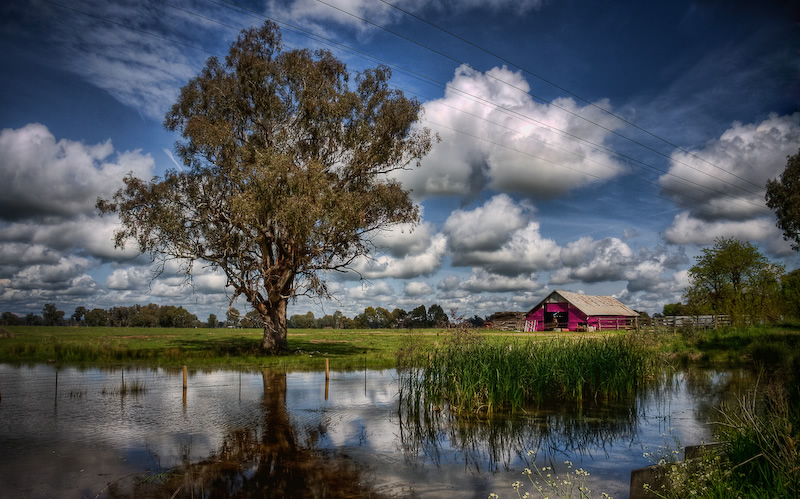 The Pink Barn