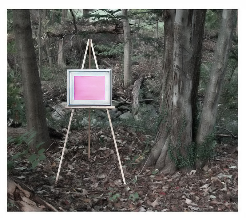 Pink, en plein air.