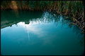 Launchpad reflection