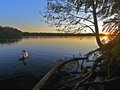Tranquility