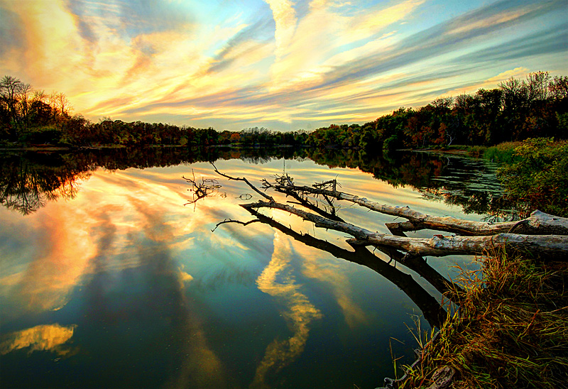 In the Quiet, in the Stillness