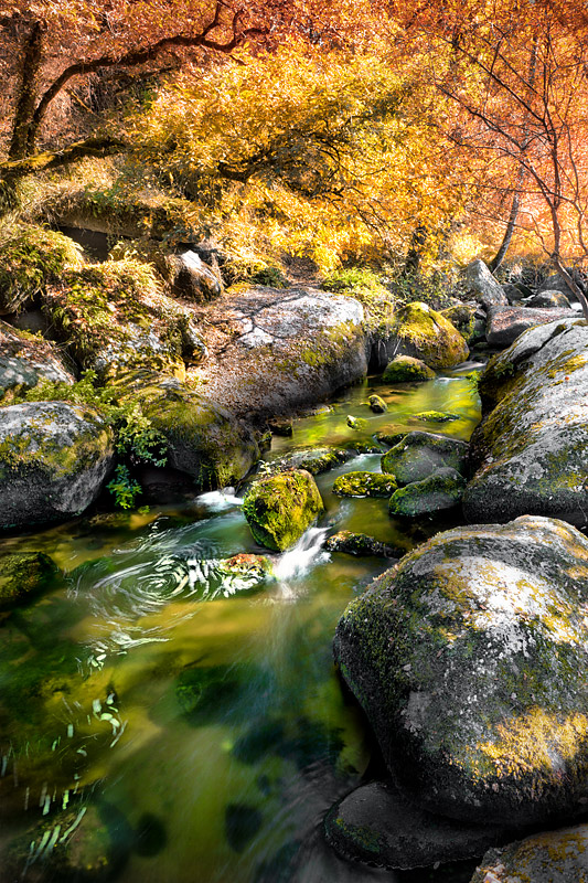 Emerald River