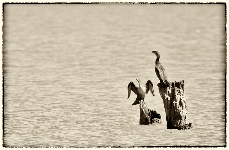 Shall we Gather at the River