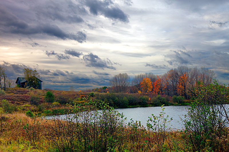 Autumn Pond