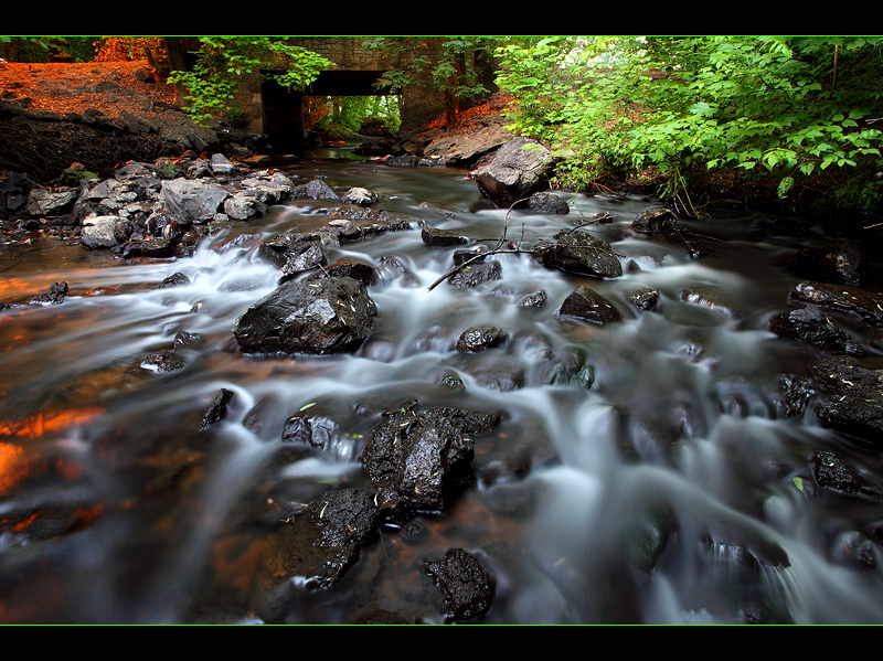 Down by the River