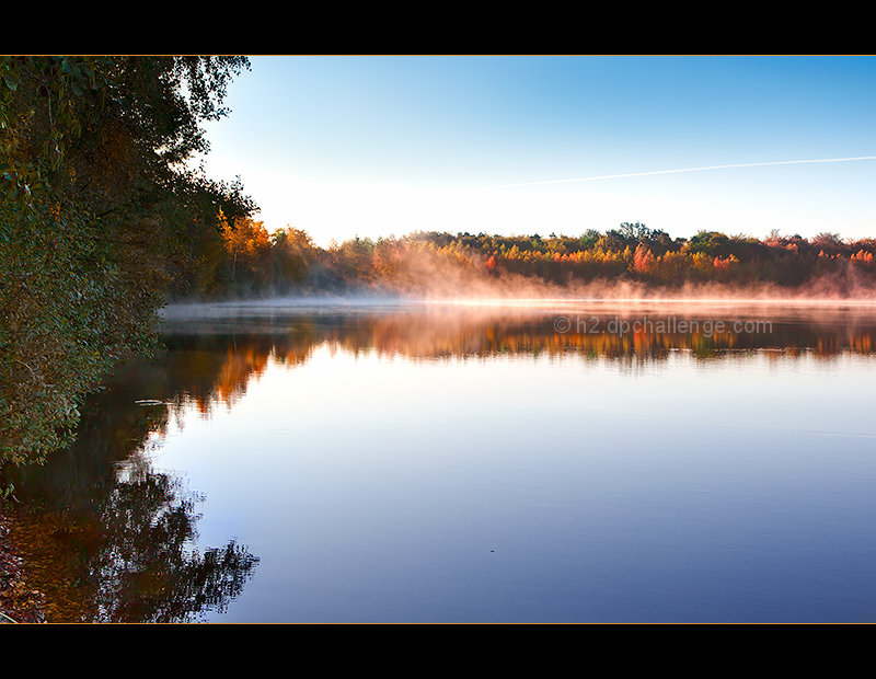 Misty Morning