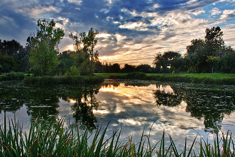 Reflected Sunset