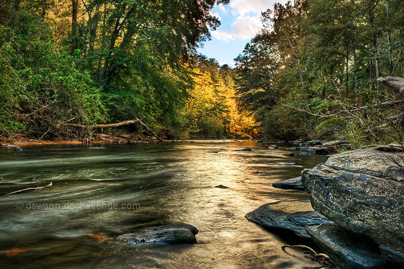 Gold on the Cahaba