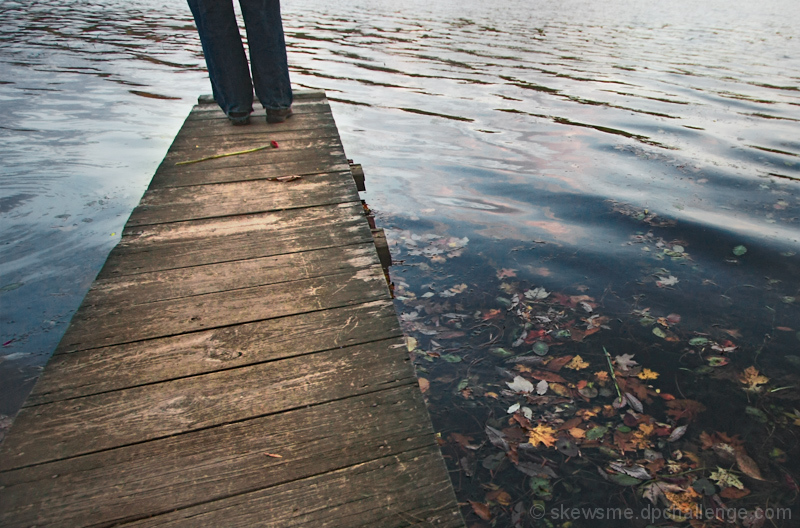 Lake Brenda