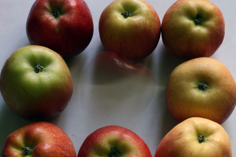 Disappearing Apple ....