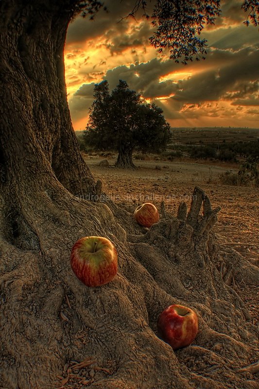 An apple never falls far from the tree...