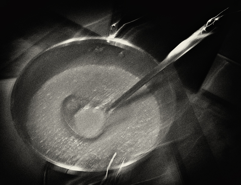 Applesauce — the Creation Myth