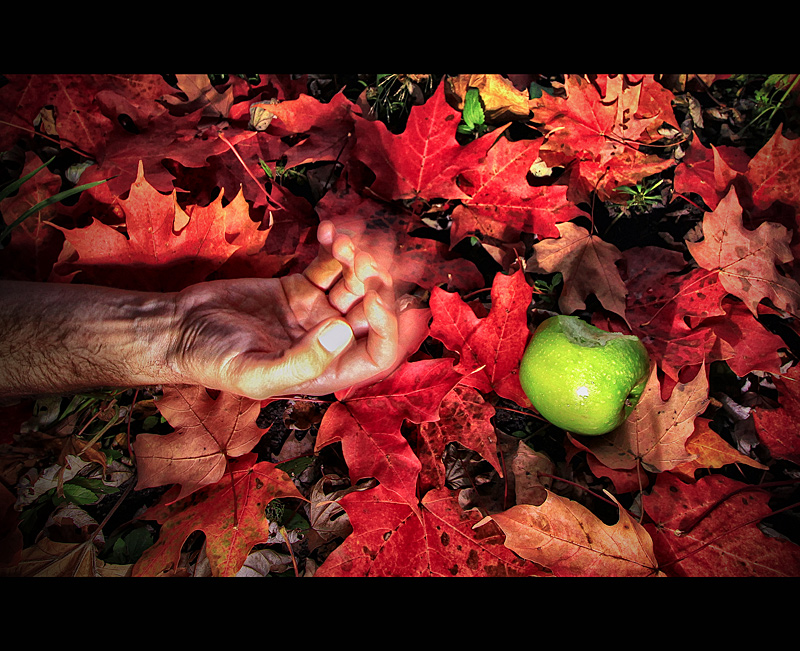 The Fall