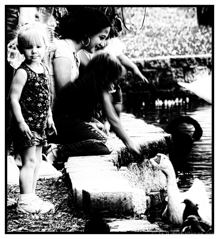 Short Attention Span