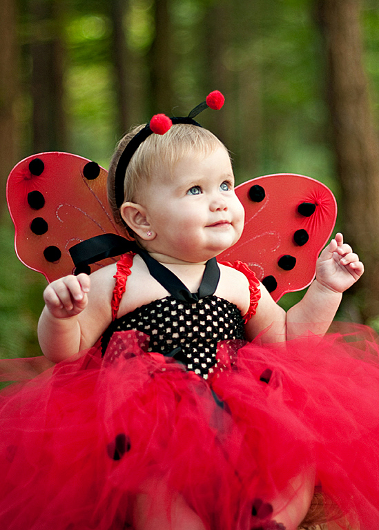 Ladybug Ladybug ~ Fly Away Home!