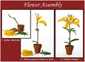 Flower Assembly 101