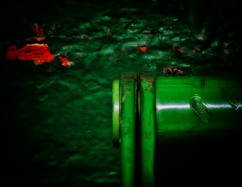 Dumpster Diver