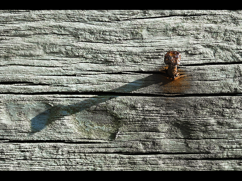 Nail in wood with shadow