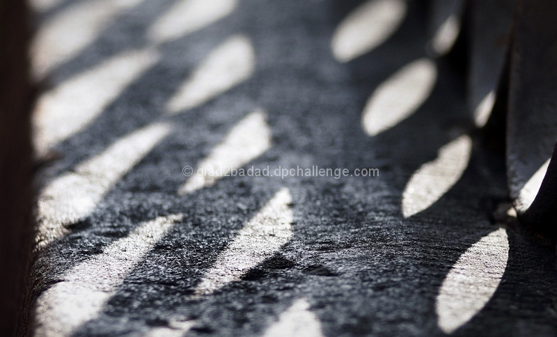 Curbside ~ Fence Shadows
