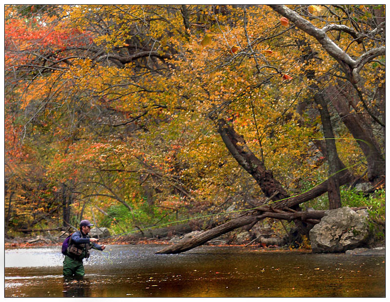 Along Passage Creek