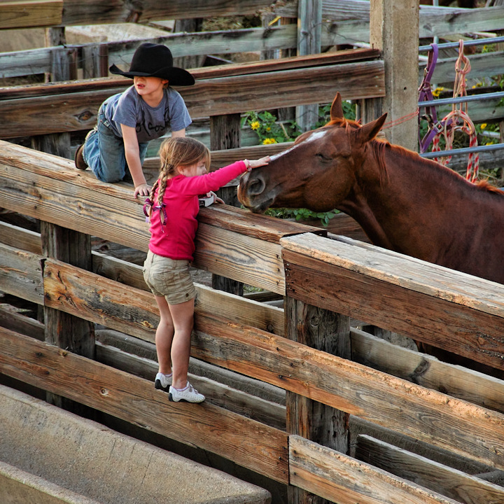 Nice Horsie...