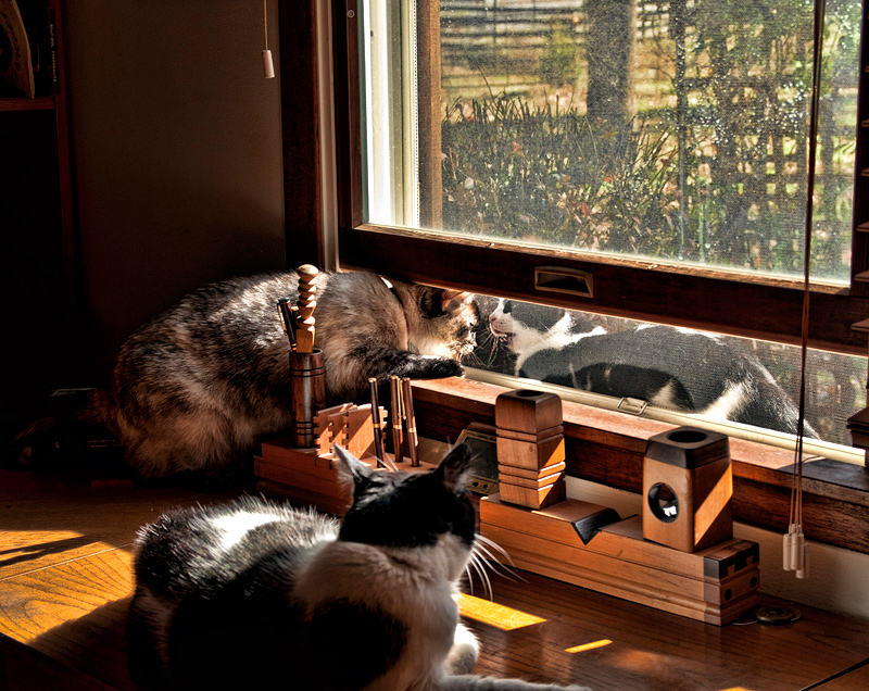 The Chairman Watches as George and Harry Argue over the Cat Food  Budget 