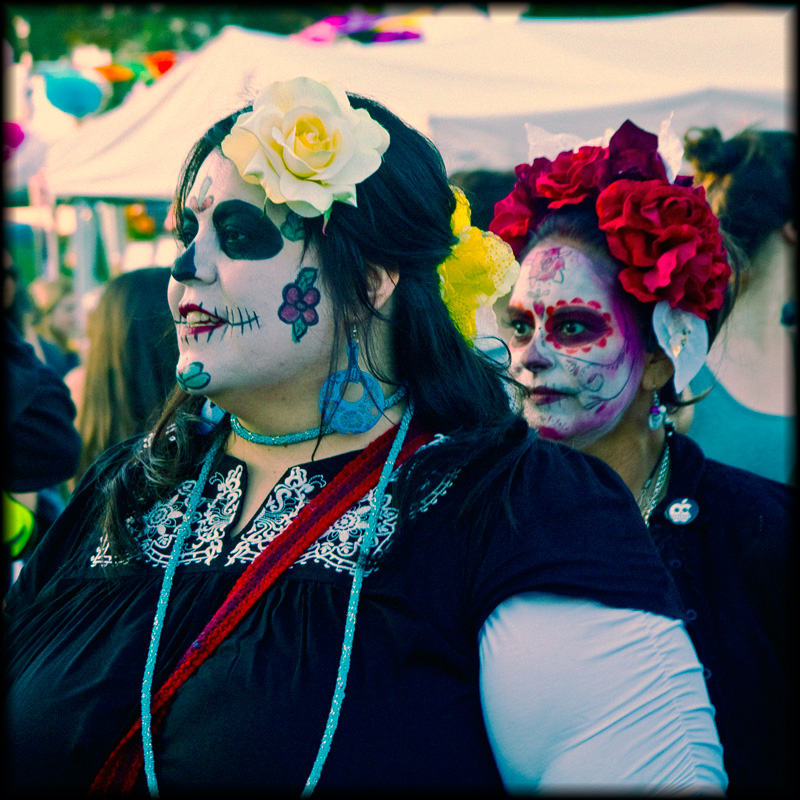 Painted Ladies