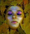 Face of Foliage